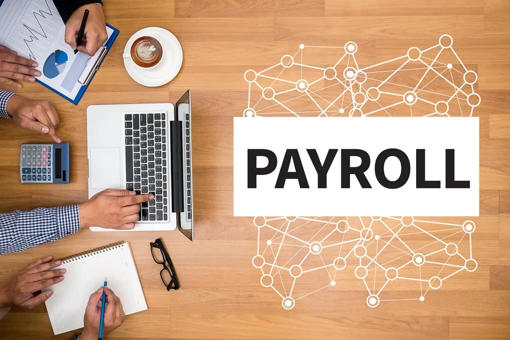 Professional payroll services for accurate and timely payroll processing